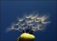 Устрем 2; comments:19