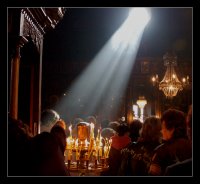 Цветница; comments:5