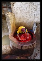 Yellow &amp; Red; comments:4