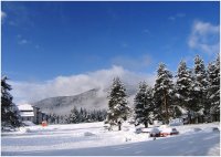 без име ( ID=583406 ); Коментари:4