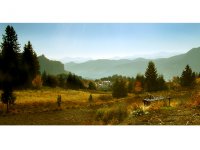 без име ( ID=583995 ); Коментари:24