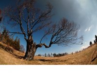 xxx; Коментари:15