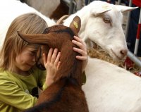 И аз копнея за нежност, но ...... ТЯ избра дугия:(; Коментари:8