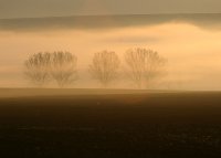 no name ( ID=588451 ); comments:15