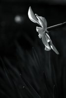 no name ( ID=592559 ); comments:5