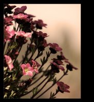 no name ( ID=594067 ); comments:28