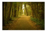 no name ( ID=581205 ); comments:16