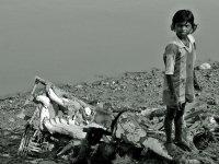 no name ( ID=581695 ); comments:11