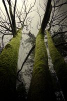 no name ( ID=579599 ); comments:14