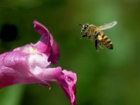 no name ( ID=588412 ); comments:18