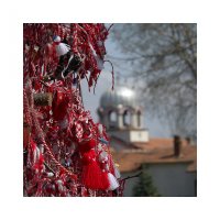 ... ЗА ЧЕРВЕНОТО, БЯЛОТО ... И ДРУГИТЕ ЦВЕТОВЕ ...; comments:26