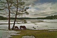 Краят на зимата; comments:47