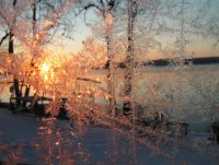 Магия; comments:11