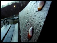 Сълзите на утрото; comments:5