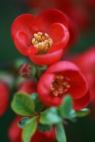 no name ( ID=589988 ); comments:3