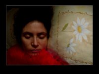 Цветен сън; Коментари:3