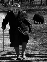 без име ( ID=585231 ); Няма коментари