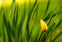 no name ( ID=591497 ); comments:24