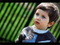 t h e . f r e e m a n; Коментари:16