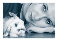 ***; Коментари:7