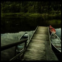 Кеят на оцелелите; comments:21