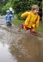 волните; Коментари:8