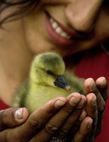 усмивка; comments:55