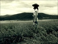 ...глътка въздух от простора...; Коментари:17