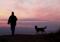 no name ( ID=633874 ); comments:5