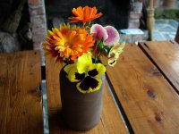 The beauty; comments:6