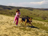 no name ( ID=626427 ); comments:4