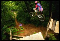 Да имаш чувството че летиш, макар и за секунда, е едно от малките неща които могат да те накарат да се чувстваш жив...; comments:5