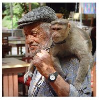 колеги ...и приятели; Коментари:8