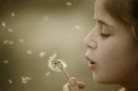 Миговете от дните отлитат, улови си един и го спри...; comments:55