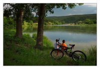 В живота важните меща...; comments:34