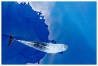 no name ( ID=633056 ); comments:13