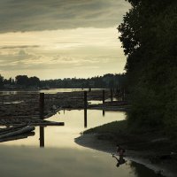 детството - цвят на филия с масло и мед и одраскани колене; comments:24