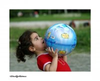 Dolphins; comments:11