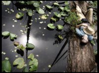 лято следобед; comments:56