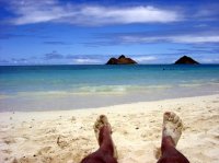 paradise; comments:7