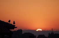 Да споделяш ...; comments:5