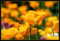 na rabota; comments:19