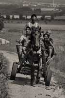 Снимай како, снимай...; comments:4