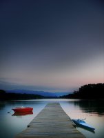 изборът...; comments:26