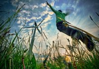 I believe I can fly...; comments:93