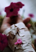 ***; Коментари:14