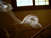 da hvane6 neulovimoto; Коментари:7