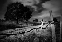 Дългият път към дома...; comments:23