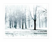 без име ( ID=740153 ); Коментари:7