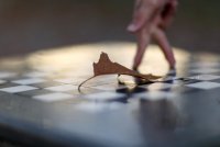 без име ( ID=740361 ); Коментари:8